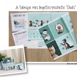 Lingettes chats kit