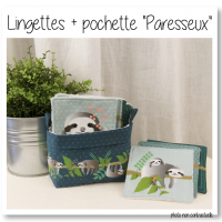 Lingettes partesseux