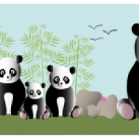 Pandas 2