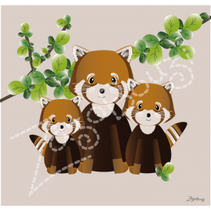 Petit coupon pandas roux