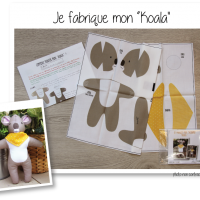 Photo kit koala