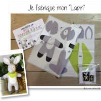 Photo kit lapin