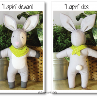 Photo lapin dev dos